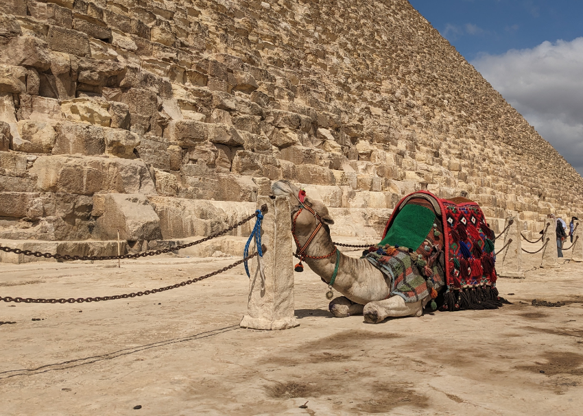 Solo traveler exploring Egyptian temple